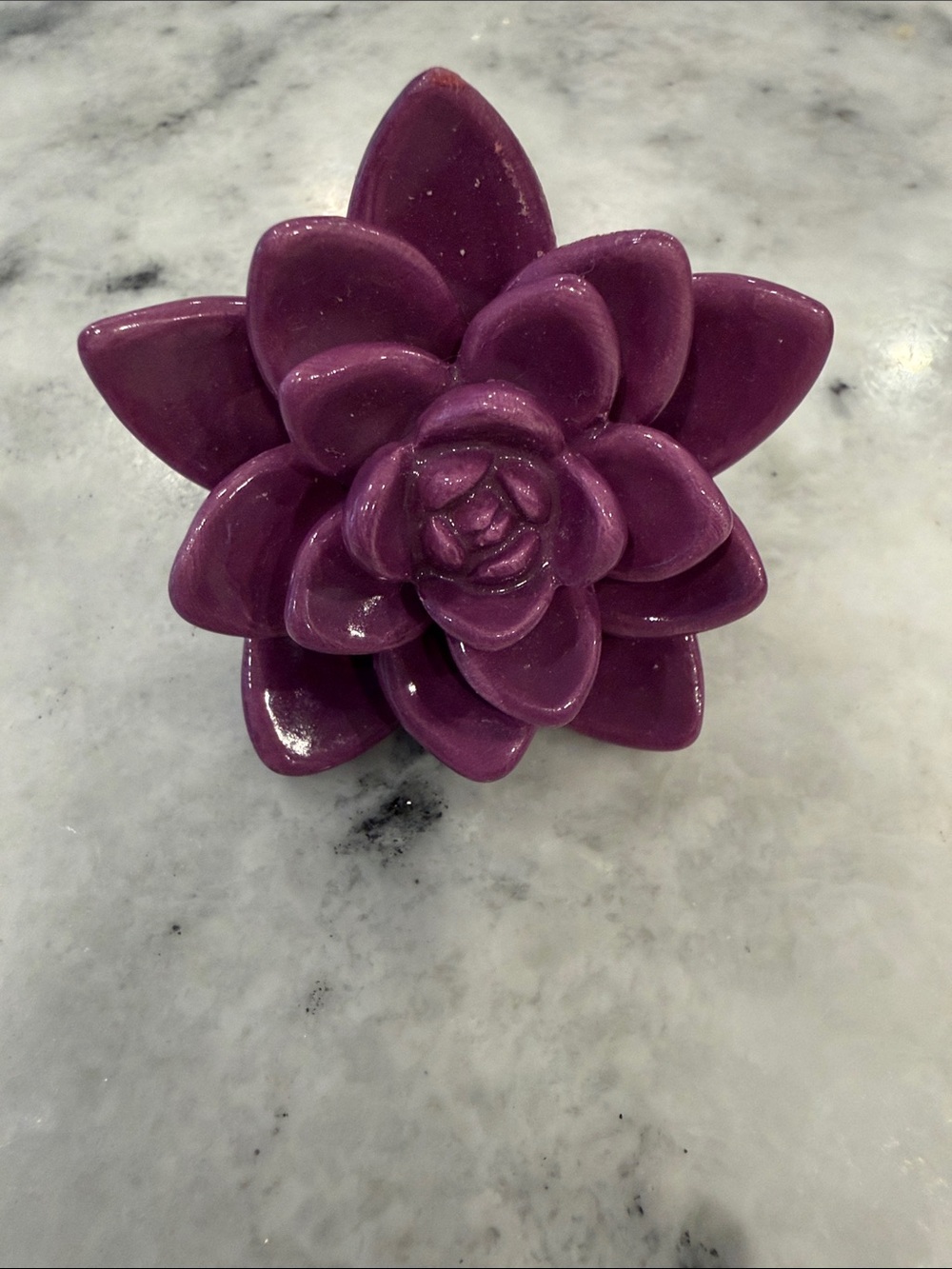 Nora Fleming Get Growing Mini